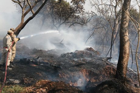 Governo autoriza captação de recursos para combater incêndios florestais em Mato Grosso